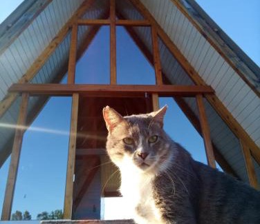 Venancio Aires Bed & Breakfast | Refúgio Heudevf