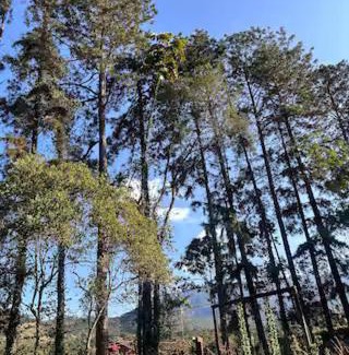 Regiao Visconde de Maua House | Refúgio na Serrinha do Alambari - Penedo -RJ