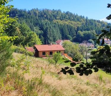 Granges-Aumontzey Ski Chalet | Refuge au coeur des Vosges