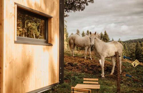 Riotord House | Refuge panoramique en Haute-Loire
