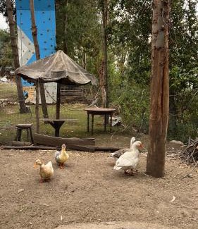 Independencia Cabin | Refugio Ecológico Hanan Pacha Granja, Montañas y Aventura