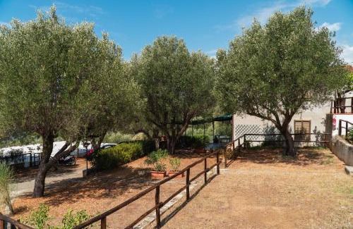 Marina di Pisciotta Other | Regina Residence Camping