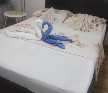 Oradea Apartment | Regy