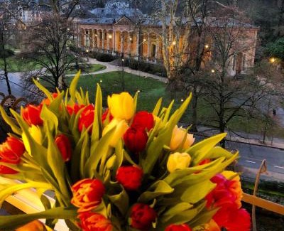Baden Baden Old Town Apartment | Reichel-Appartements