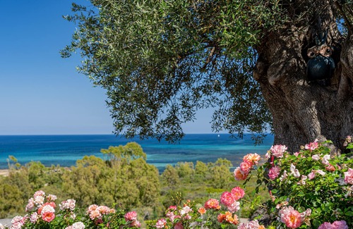 Luddui Villa | Reina de Tavolara: luxury villa in San Teodoro with private pool near the beach