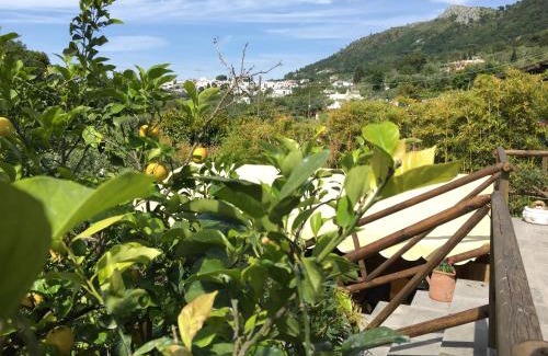 Anacapri House | Relais Villa Anna