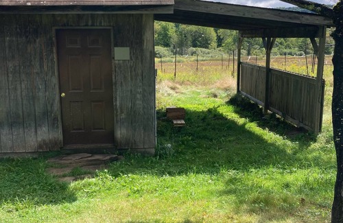 Bovina Center Cabin | Relax And Recharge at The Lucky Hunt Cabin
