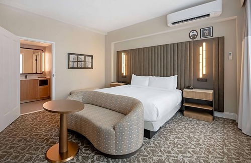 Downtown Tampa Hotel | Relax and Unwind! Experience Downtown Tampa Luxury