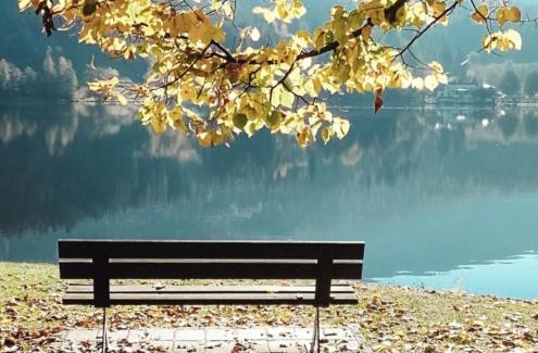 Montagnaga Apartment | Relax e natura vicino a Trento