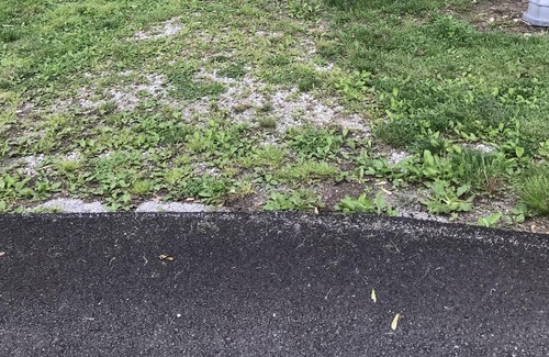 Richmond House | Relax in Private & Spacious (2000 sf) Comfort Near I-75 & EKU