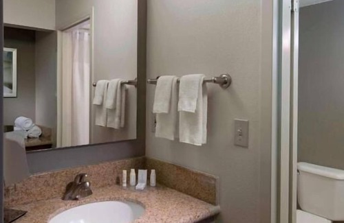 Boca Raton Hotel | Relaxation and Fun in the Sun! Pet-Friendly, Explore the Local Area, Pool!