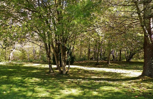 Cosby Apartment | Relaxing Resort Condos at the Foothills of the Smoky Mountains