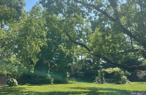 St. Albans House | Remodeled historic home, large yard & garden, walk to downtown, parks, & trails