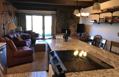 Crested Butte Condo | Remodeled ski in/ski out condo in Mt Crested Butte with incredible views!