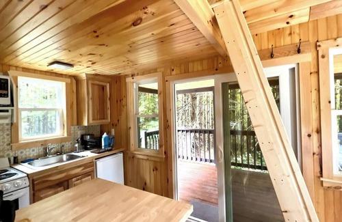 Dailey Cabin | Remote Tiny Cabin/Mountain Hiking/National Forest!