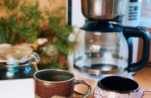 Austin House | Renovated Spartan + 3 acres + private pool “BB”