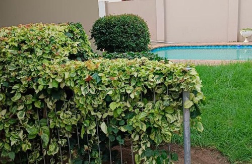 King William's Town House | Repose Guest house!