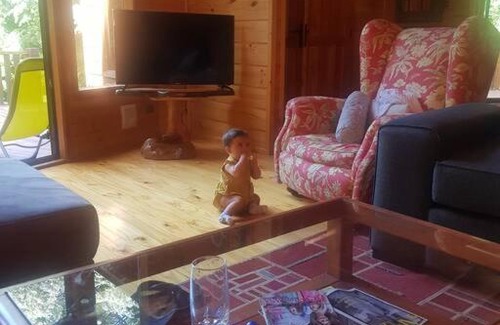 Neltume Apartment | Reserva de Huilo Huilo, el Pudu