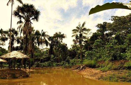 Leticia Cabin | Reserva Natura Park