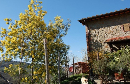 Montevarchi House | Residence Le Chiuse -Casa Marrone