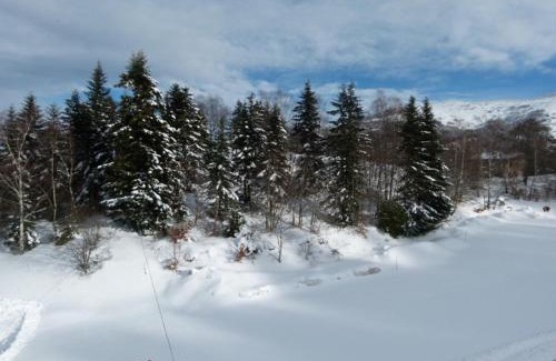 Montferrier Apartment | Residence LUDOVIC appartement GENET
