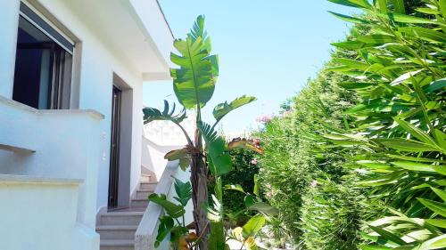 Torre Suda House | Residence Salentoholidays