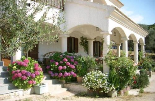 Galeria House | residence u filipaghju