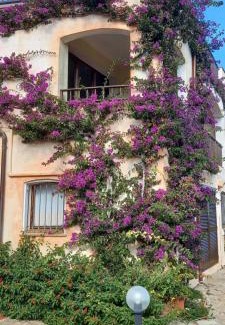 Porto Cervo Apartment | Residenza Chrysalis Bay
