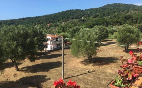 Vibonati Apartment | Residenza Longobardi
