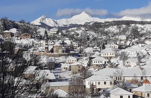 Lazaropole Bed & Breakfast | Restaurant and Apartments - T'ga za Jug Lazaropole