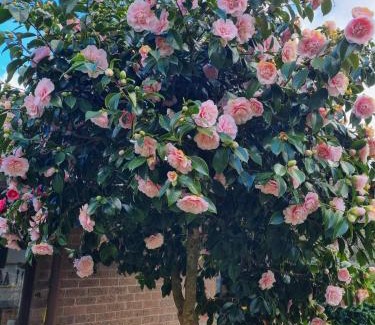 Stirling House | Retreat in Stirling