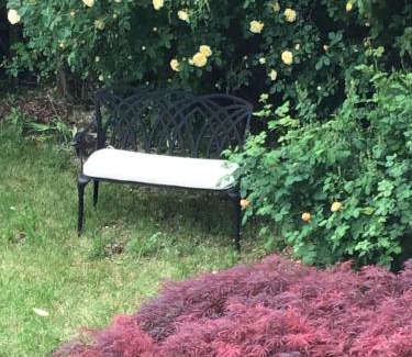 Mittelheim Apartment | Rheingauzuhause mit Privatpool