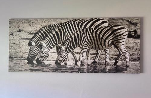 Moses Kotane House | Rhino House with 3 bedrooms next to Pilanesberg and Sun City