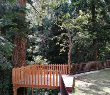 Nathia Gali Hotel | Richmond Boutique Hotel
