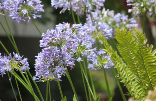 Brooklyn House | Richtershuyz Luxury Accommodation