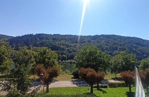 Hatzenport Apartment | Riesling