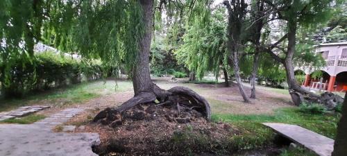 Las Vegas Ski Chalet | Rincón del Sauce