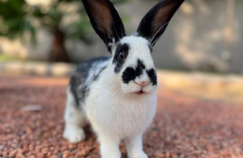 Las Compuertas Ski Chalet | Rincon de Cacheuta