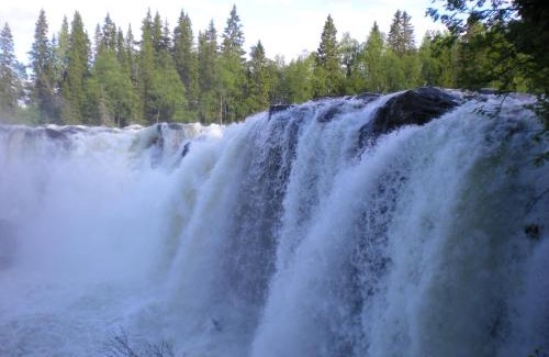 Are Other | Ristafallets Camping