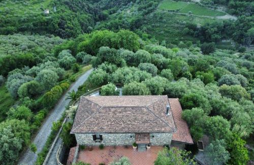 Pollica Bed & Breakfast | Ristolab - Ritiro Mediterraneo