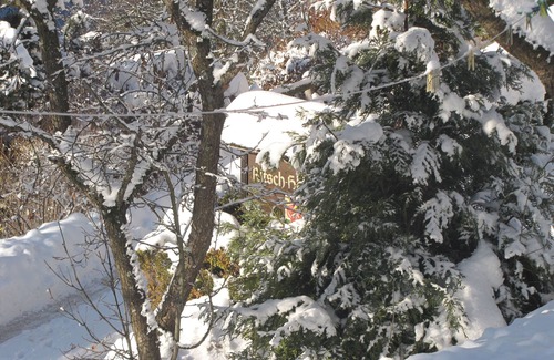 Laion Apartment | Ritschhof - Walnut apartment