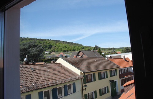 Bad Duerkheim Apartment | Ritterhof Suite at the Fitz-Ritter Winery - VDP/Organic