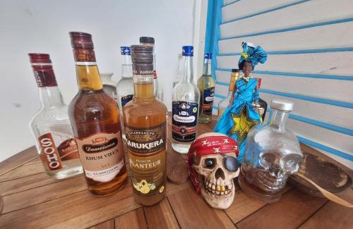 Goyave House | RIVER PARADISE