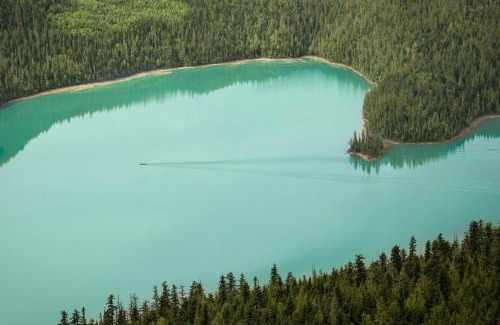 Blue River House | River Safari Mountain View Suite