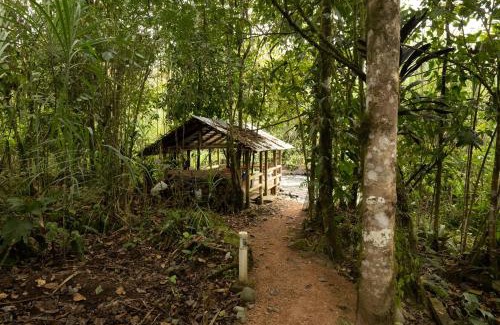 Mindo Hotel | River Song's Hotel