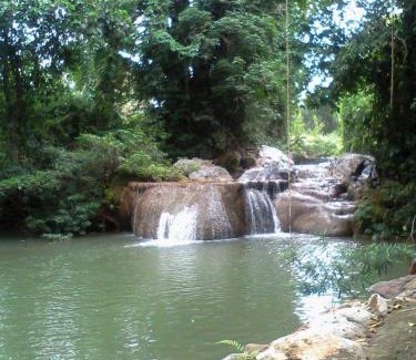Wang Katha Other | Riverhill khaoyai camping เต้นท์โดม