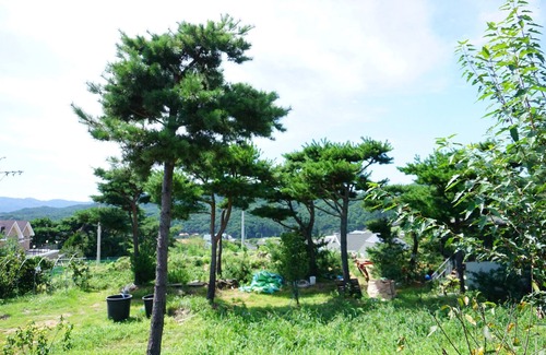 Gyeongju House | Road 26 Pool Villa