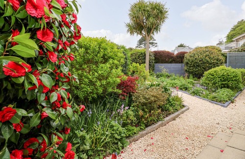 Saint Austell Bay Cottage | Robin Hill