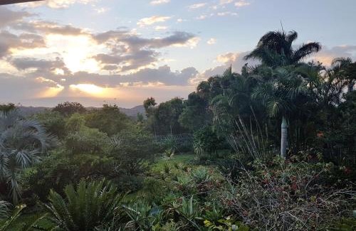 Hibiscus Coast Apartment | Rocky Ridge Farm Cottage