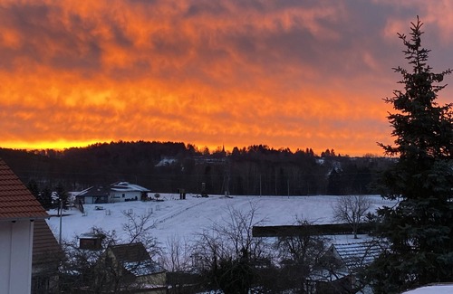 Roderhof Apartment | Röderhof-Pfalz - Holidays in the heart of the Palatinate Forest